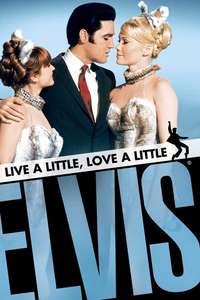 Live a Little  Love a Little - Poster
