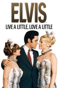 Live a Little  Love a Little - Poster