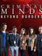 Criminal Minds: Beyond Borders : Season 2