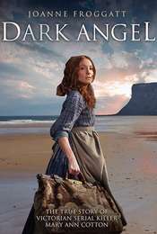 Dark Angel Series 1