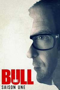Bull - Posters