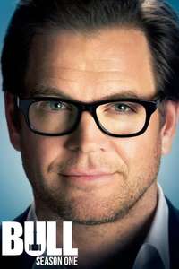 Bull - Posters