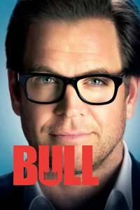 Bull - Posters