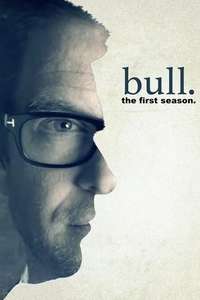 Bull - Posters