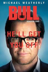 Bull - Posters