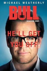 Bull - Posters