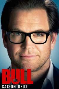 Bull - Posters