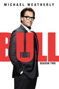 Bull - Posters