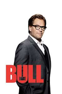 Bull - Posters
