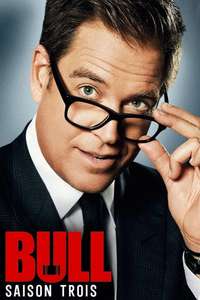Bull - Posters