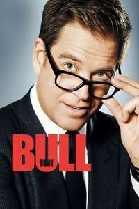 Bull - Posters