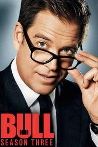 Bull - Posters