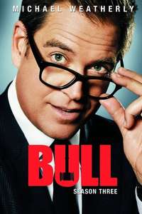 Bull - Posters