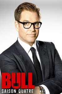 Bull - Posters