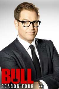 Bull - Posters