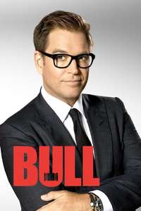 Bull - Posters