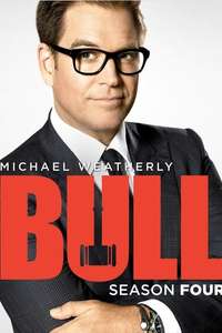 Bull - Posters