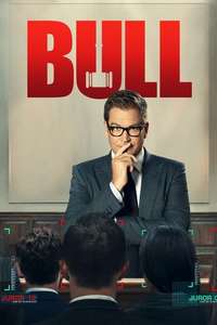 Bull - Posters