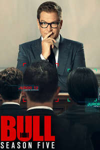 Bull - Posters