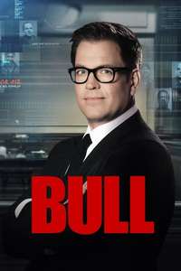 Bull - Posters