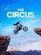 The Circus : Season 8