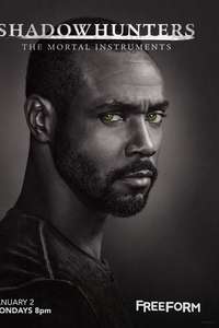 Shadowhunters - Posters