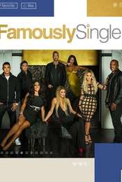 Famously Single Season 1