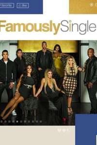 Famously Single - Poster