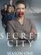 Secret City : Season 1