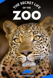 The Secret Life of the Zoo Season 2