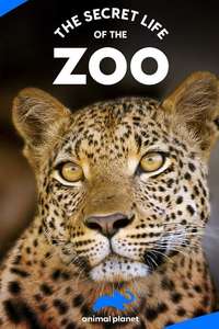 The Secret Life of the Zoo - Posters