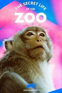 The Secret Life of the Zoo - Posters
