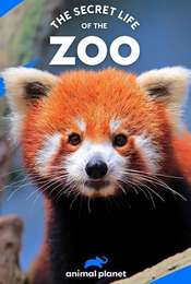The Secret Life of the Zoo Season 4