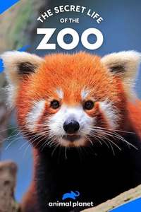 The Secret Life of the Zoo - Posters