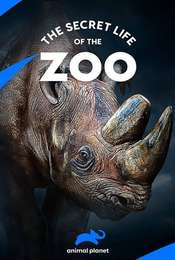 The Secret Life of the Zoo Season 5