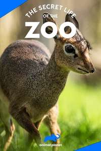 The Secret Life of the Zoo - Posters