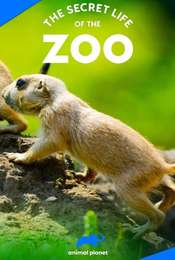 The Secret Life of the Zoo Season 8
