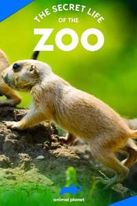 The Secret Life of the Zoo - Posters