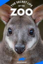 The Secret Life of the Zoo Season 10