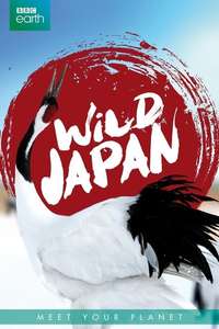 Japan: Earth's Enchanted Islands - Posters