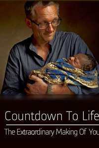 Countdown to Life: The Extraordinary Making of You - Poster