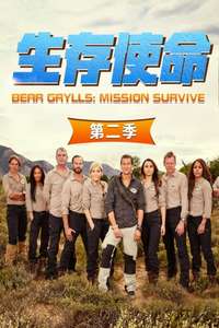 Bear Grylls: Mission Survive - Poster