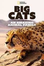 Big Cats: An Amazing Animal Family Season 1