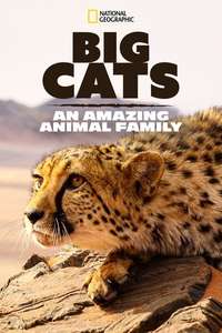 Big Cats: An Amazing Animal Family - Poster
