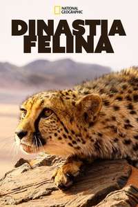 Big Cats: An Amazing Animal Family - Poster