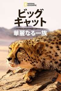 Big Cats: An Amazing Animal Family - Poster