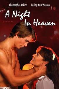 A Night in Heaven - Poster