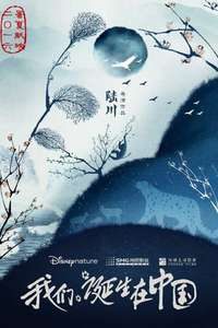 Born in China - Posters