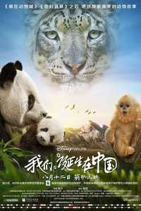 Born in China - Posters