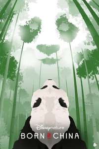Born in China - Posters